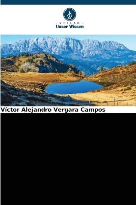 Die Erinnerung an die Akkorde: Lied mit Inhalt in Chile. 1960-1973. - Víctor Alejandro Vergara Campos - cover