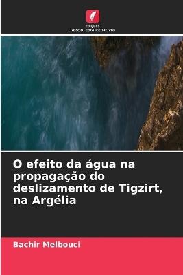 O efeito da água na propagação do deslizamento de Tigzirt, na Argélia - Bachir Melbouci - cover