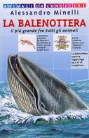 La balenottera. Il più grande fra tutti gli animali - Alessandro Minelli - copertina