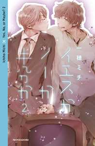 Libro Yes, no, or maybe?. Vol. 2 Michi Ichiho