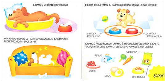 Cani e gatti. Ediz. illustrata - Veronica Pellegrini - 4