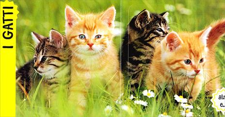 Cani e gatti. Ediz. illustrata - Veronica Pellegrini - 5
