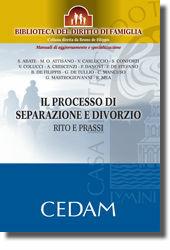 Libro Il processo di separazione e divorzio. Rito e prassi 