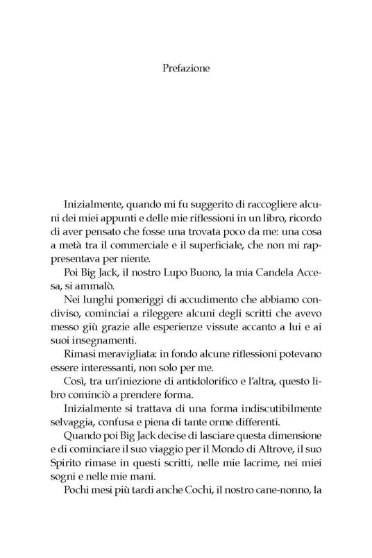 Cinovagabondi - Enrica Ceccarini - 2