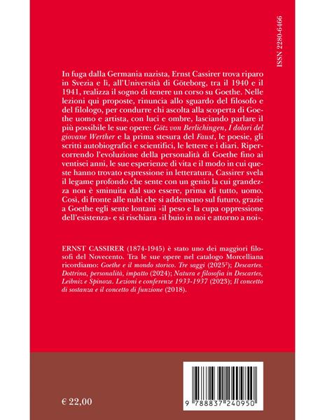 Il giovane Goethe - Ernst Cassirer - 2