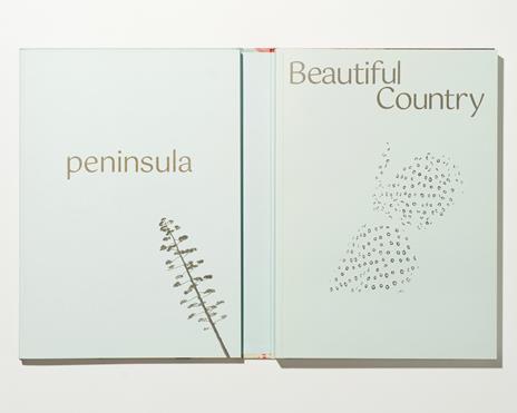 Beautiful country. Ediz. italiana e inglese - 2