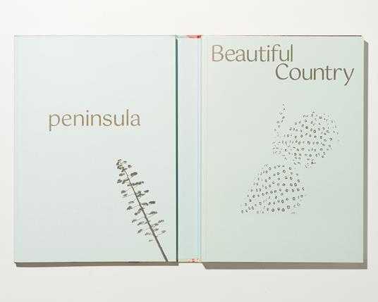 Beautiful country. Ediz. italiana e inglese - 2
