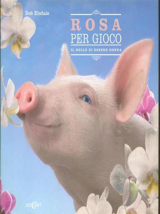 Rosa per gioco. Ediz. illustrata - copertina