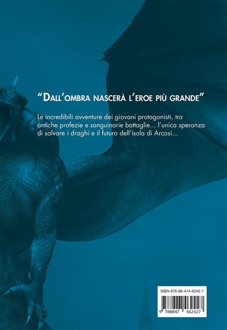 Il segreto del drago. L'alba dei draghi ombra. Ediz. illustrata - Liz Flanagan - 4