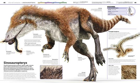 DK La grande enciclopedia dei dinosauri. Ediz. a colori - John Woodward,Darren Naish - 3