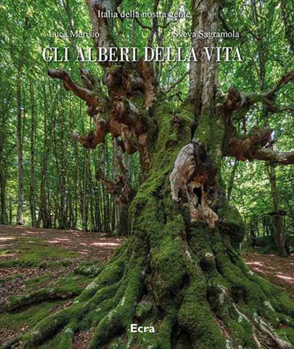 Gli alberi della vita. Ediz. illustrata - Luca Merisio,Sveva Sagramola - copertina