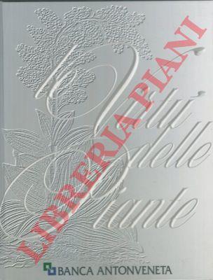 Libreria Piani