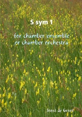 S sym 1 for chamber ensemble or chamber orchestra - Joost De Groot - cover