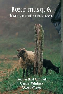 Boeuf musqué, bison, mouton et chèvre - George Bird Grinnell - cover