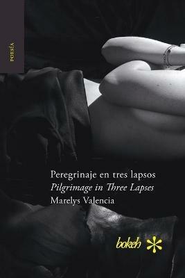 Peregrinaje en tres lapsos / Pilgrimage in Three Lapses - Marelys Valencia - cover
