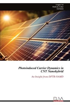 Photoinduced Carrier Dynamics in CNT Nanohybrid: An Insight from DFTB-NAMD - Sougata Pal - cover