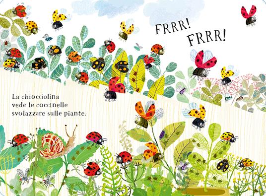 Il piccolo libro delle bestioline. Ediz. a colori - Yuval Zommer - 5