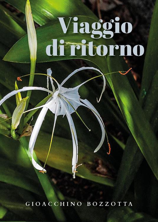 Viaggio di ritorno - Gioacchino Bozzotta - copertina