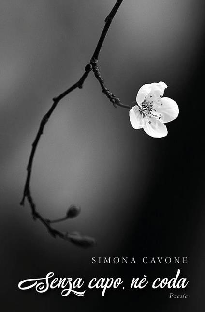 Senza capo, nè coda - Simona Cavone - copertina