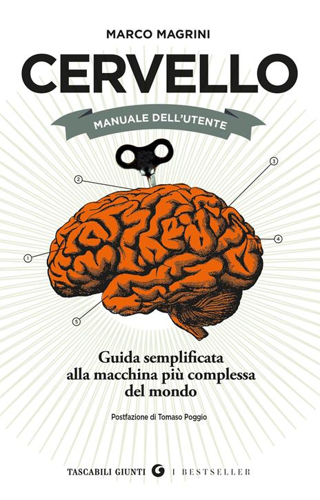 Cervello. Manuale dell'utente. Guida semplificata alla macchina più complessa del mondo - Marco Magrini - copertina