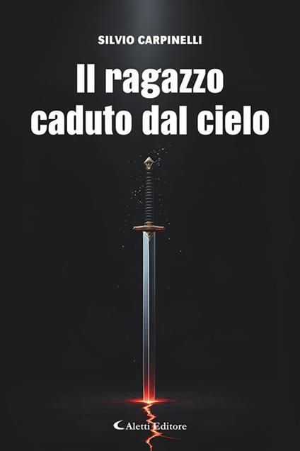 Il ragazzo caduto dal cielo - Silvio Carpinelli - copertina