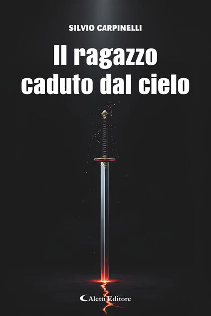 Il ragazzo caduto dal cielo - Silvio Carpinelli - ebook