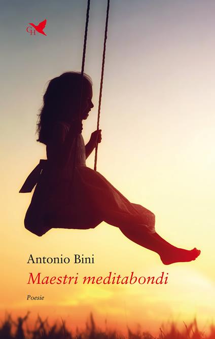 Maestri meditabondi - Antonio Bini - copertina