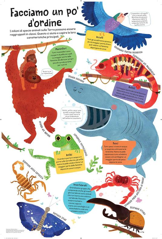 Il mio primo libro degli animali. Primissimi. Ediz. a colori. Con Poster - 2