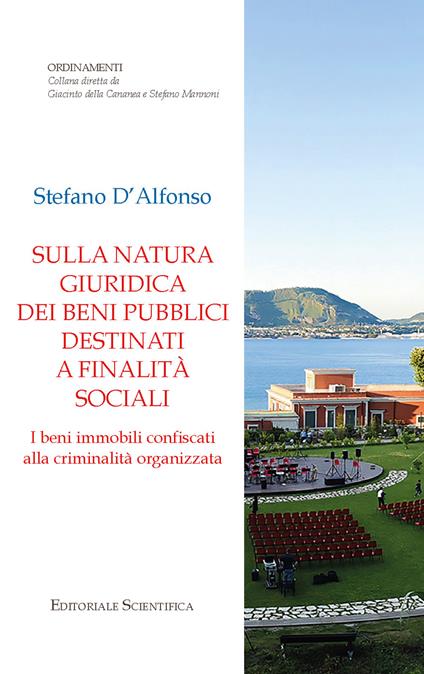 Sulla natura giuridica dei beni pubblici destinati a finalità sociali. I beni immobili confiscati alla criminalità organizzata - Stefano D'Alfonso - copertina