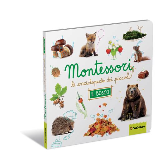 Il bosco. Montessori. Le enciclopedie dei piccoli. Ediz. a colori - copertina