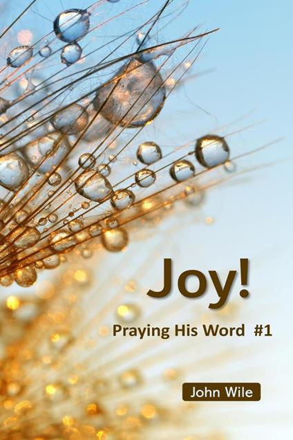 Joy! Praying His Word