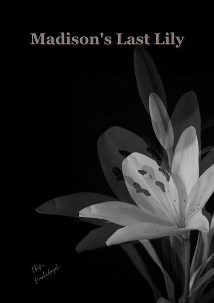 Madison's Last Lily