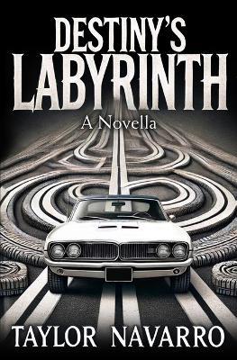 Destiny's Labyrinth, A Novella - Taylor Navarro - cover
