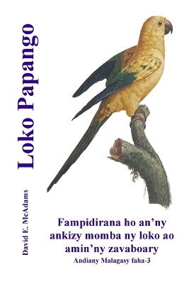 Loko Papango: Fampidirana ho an'ny ankizy momba ny loko ao amin'ny zavaboary - David E McAdams - cover