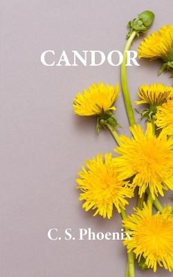 Candor: Healing the Trauma of Child Molestation, Sexual Abuse, and Rape - C S Phoenix - cover